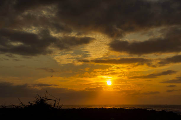 대만 여행지원금 수령하기
