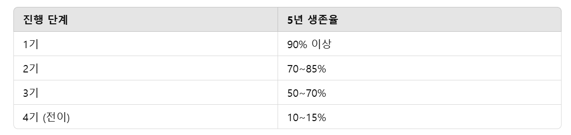 대장암의-예후-및-생존율