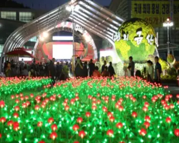 금산 인삼축제_14
