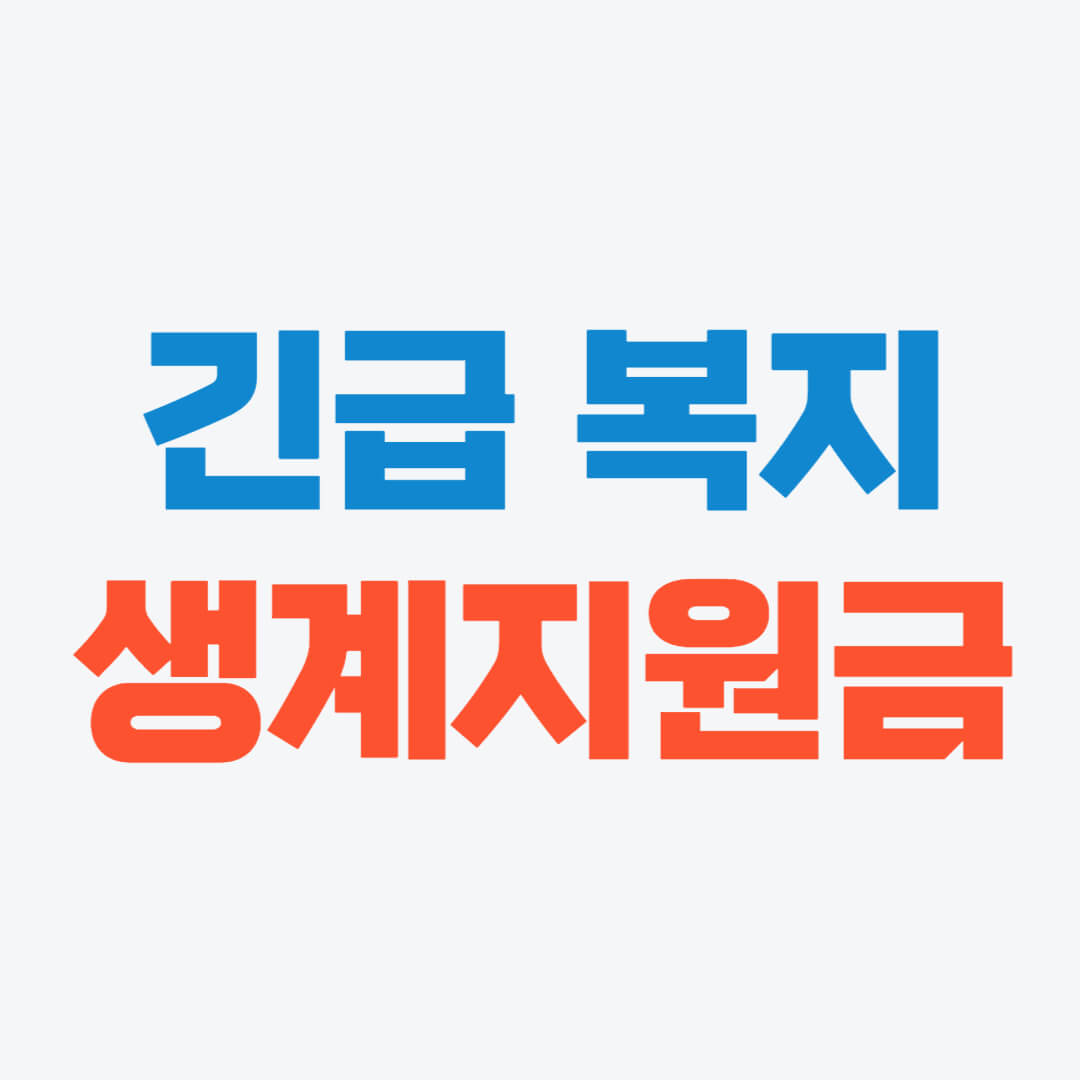 긴급 생계지원금 핵심만