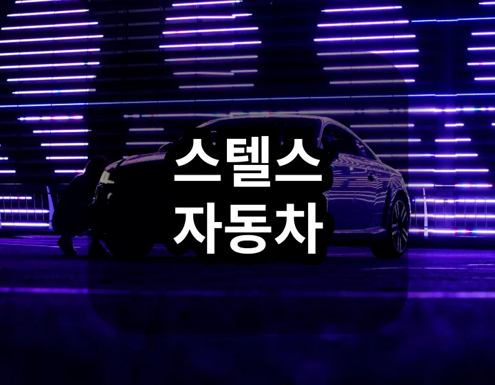 스텔스 자동차