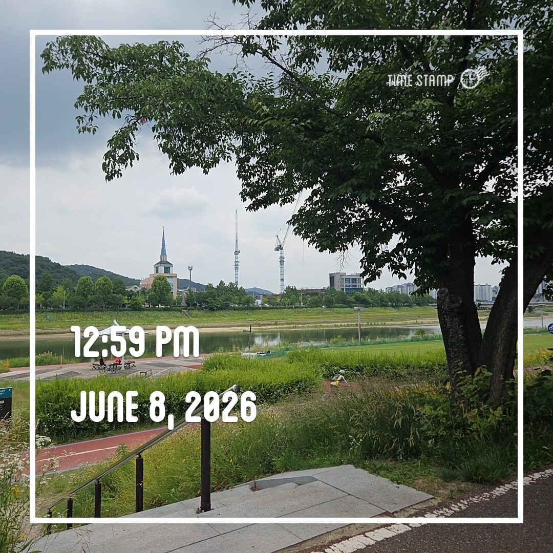 2026-06-08 천변길 운동 사진