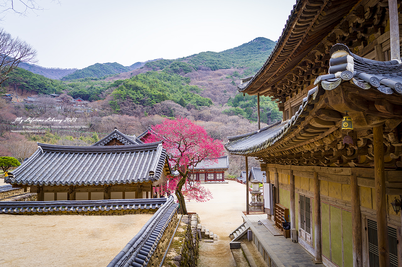 화엄사