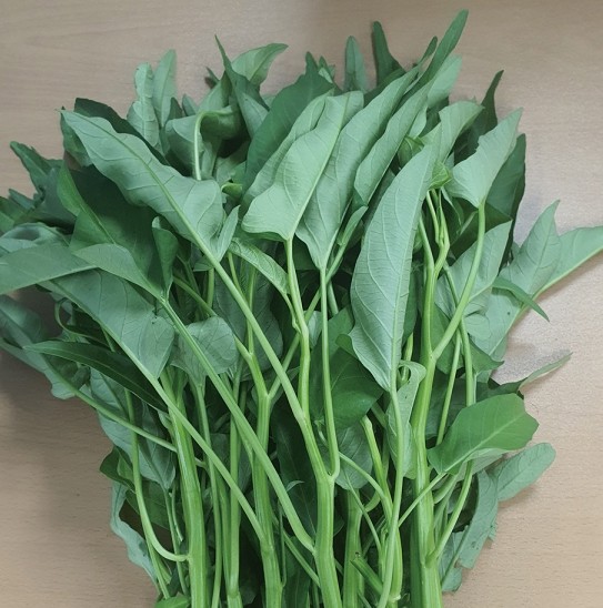 공심채(모닝글로리) 효능 및 보관법(냉장, 냉동)