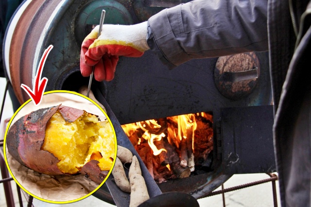 군고구마,고구마 상한거,먹으면 안되는 고구마,고구마 변색,고구마 검은점 겉 곰팡이,건강,팁줌