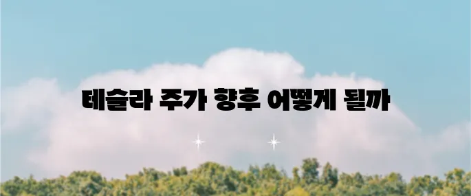 테슬라 지금 투자해도 괜찮을까 주가 시세 전망과 최고가 갱신에 대해 알아보자