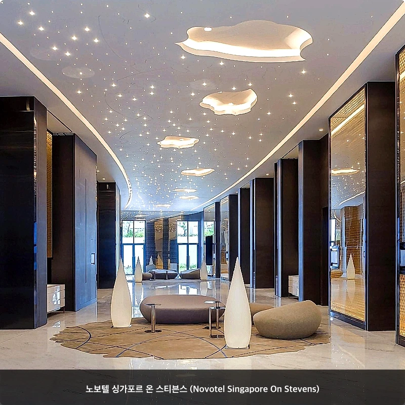 노보텔 싱가포르 온 스티븐스 (Novotel Singapore On Stevens)_4