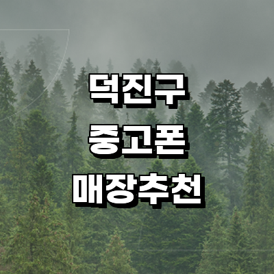 전주 덕진구 중고폰