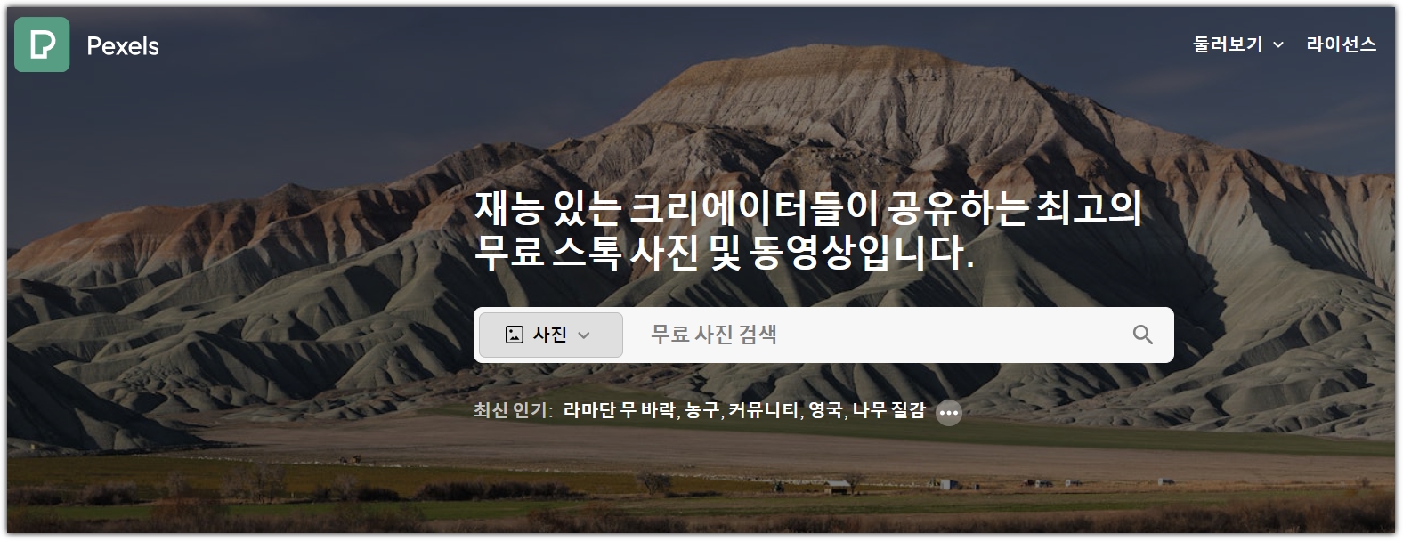 픽셀스