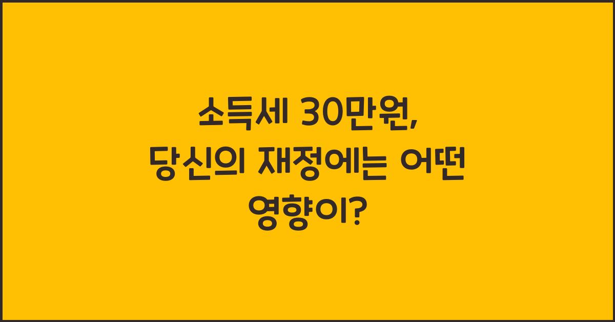 소득세 30만원