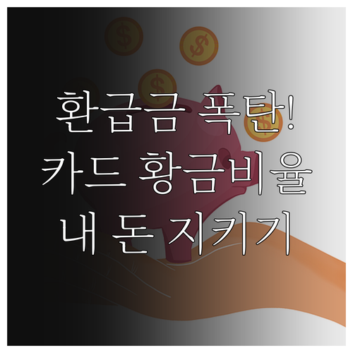 연말정산 환급금 늘리는 신용카드와 체..