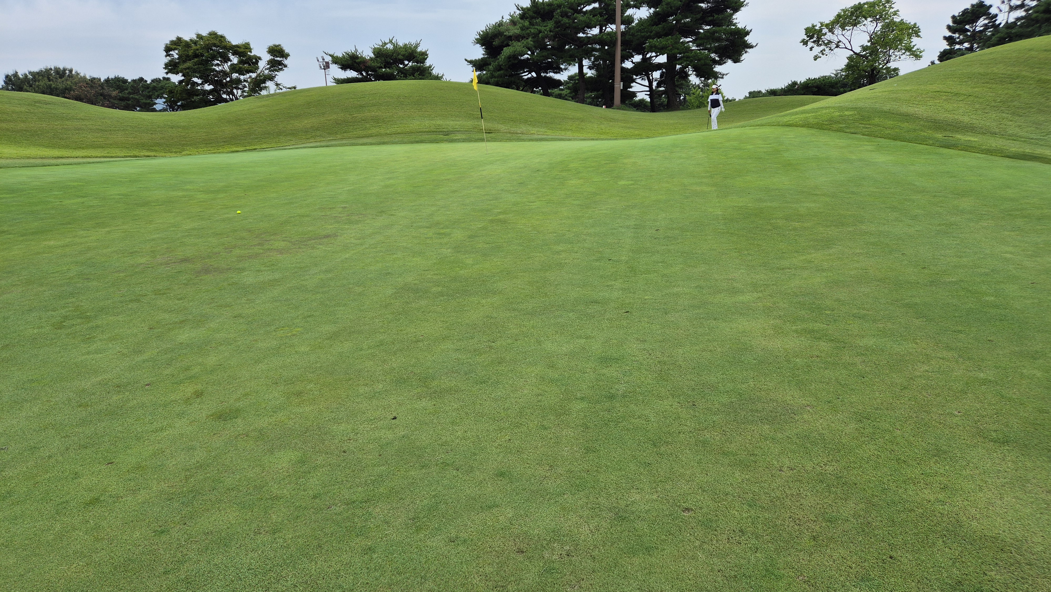 한림용인cc 다이아몬드-사파이어 코스 라운드 후기