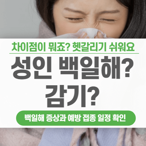 성인-백일해