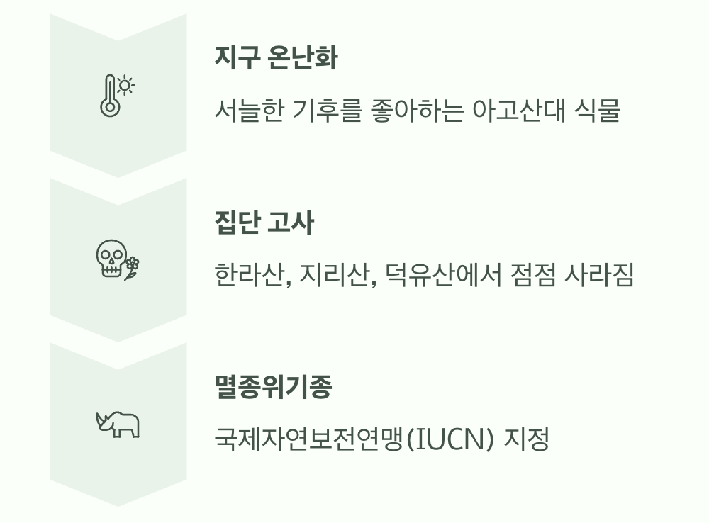 고향에서 사라져가는 비극