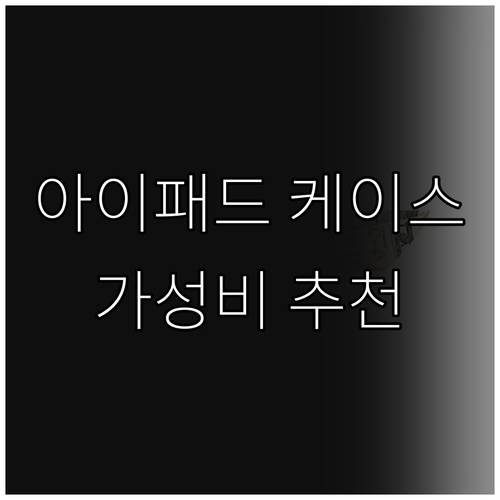 가성비 좋은 아이패드 케이스 추천, 