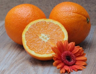 올팜 작물 난이도 정리 올웨이즈