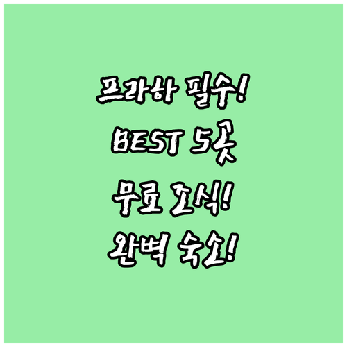프라하 호텔 추천 5곳 무료 조식 수..