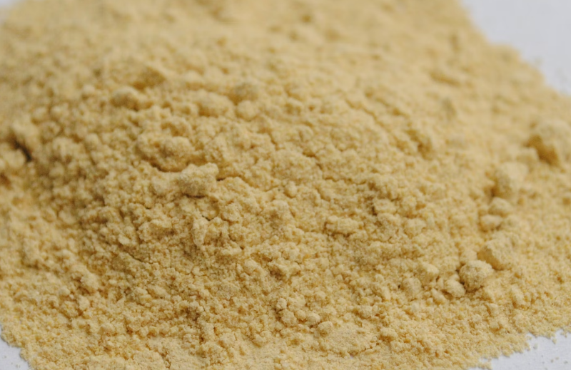 차가버섯 분말 효능 : 항산화