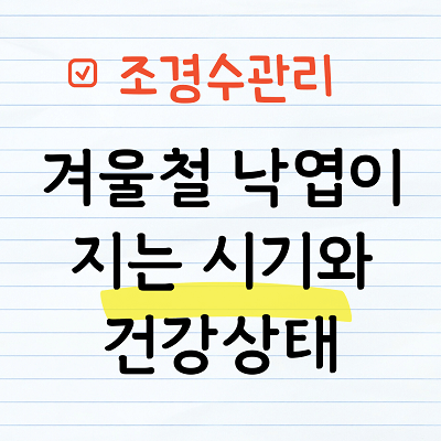 겨울철 낙엽지는 시기와 건강상태