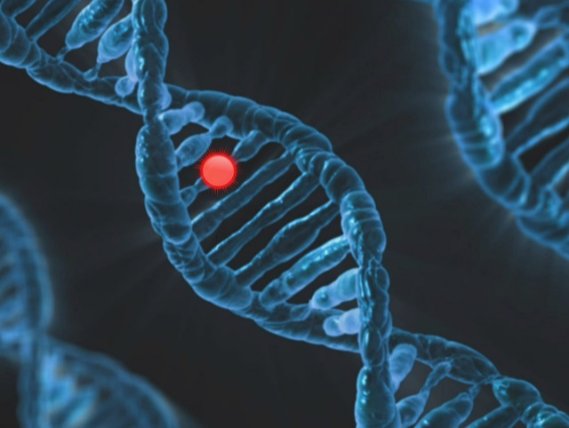 희귀 대사 질환의 원인, 유전자 이상 분석과 유전자 치료 관련 사진