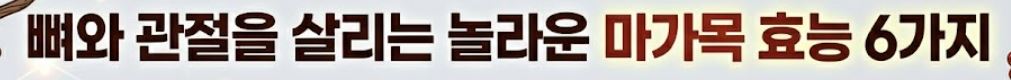 마가목 효능