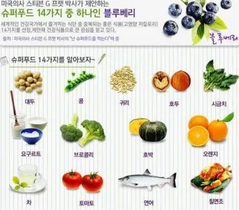 슈퍼푸드 종류 효능_10