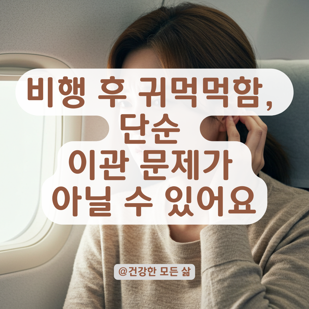 비행기 타고난 뒤 시작된 귀먹먹함과 두통