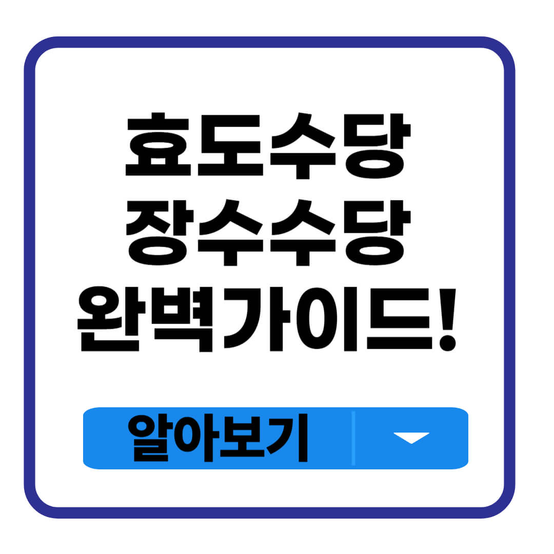 효도수당 장수수당