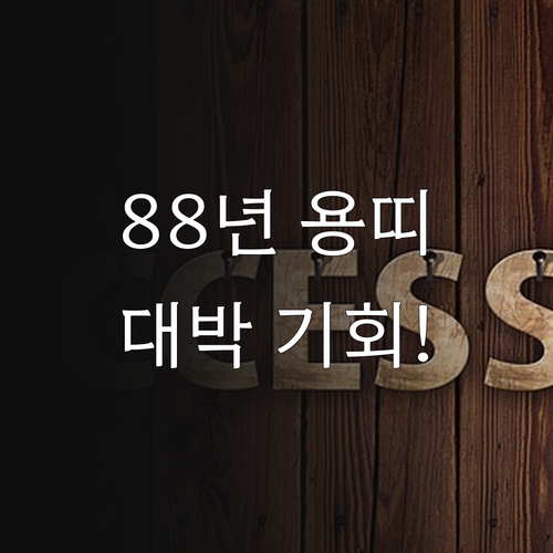 1988년생 용띠 3월 운세 핵심 요..
