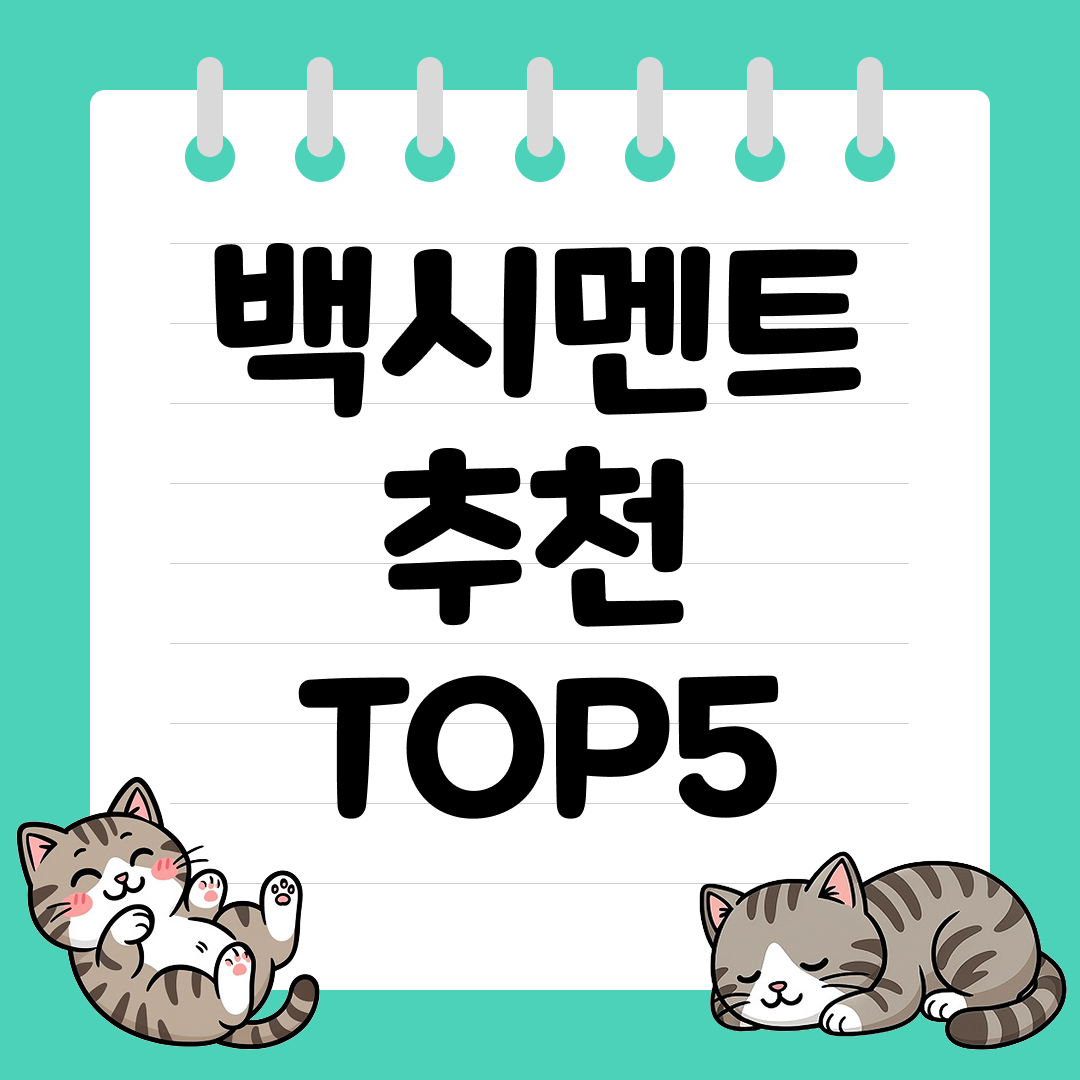 깔끔한 화이트톤 마감이 가능한 백시멘트 추천 순위 TOP5