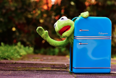 김치냉장고 스탠드형 구입 전 필독! 브랜드별 특징(삼성,LG,위니아)