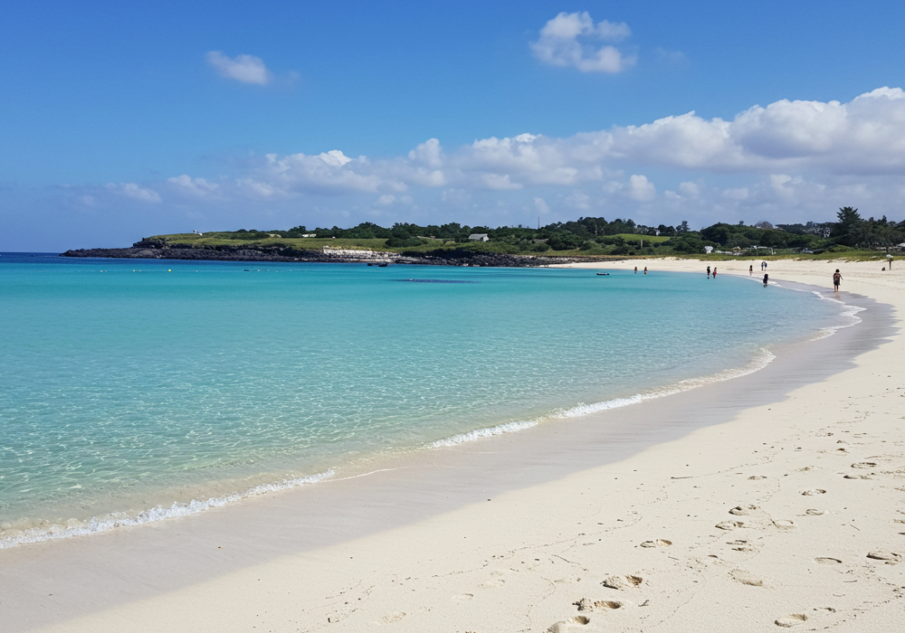 제주협재 해수욕장