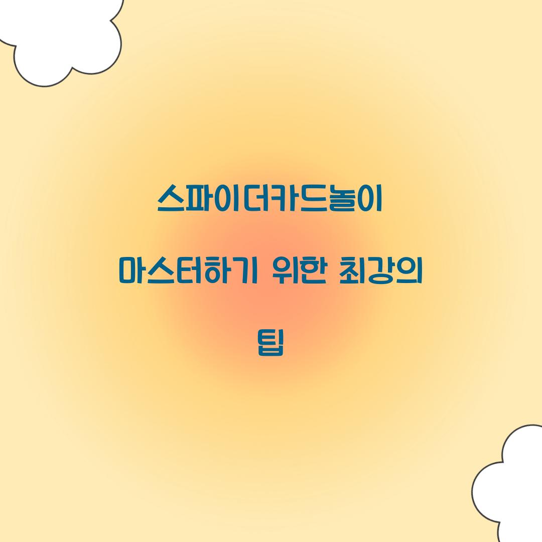 스파이더카드놀이