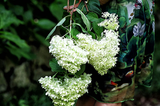 특색 있고 아름다운 민간 정원 30선 추천 여행 - 14. 고성 그레이스 정원