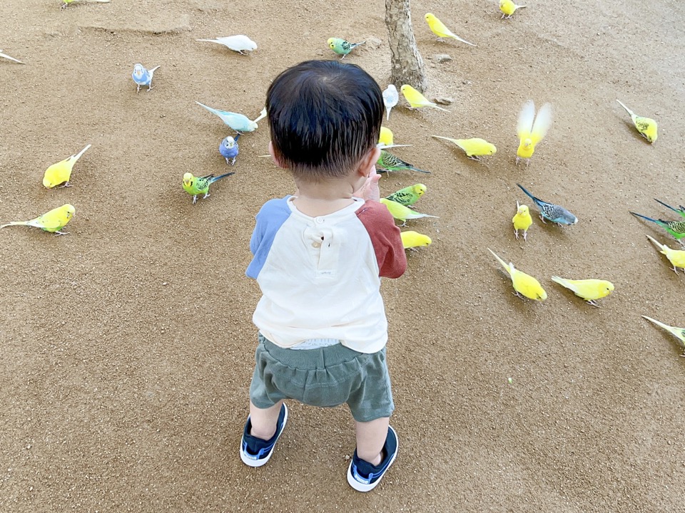 포토샵을 이용한 인물보정(증명사진, 여권사진 등)
