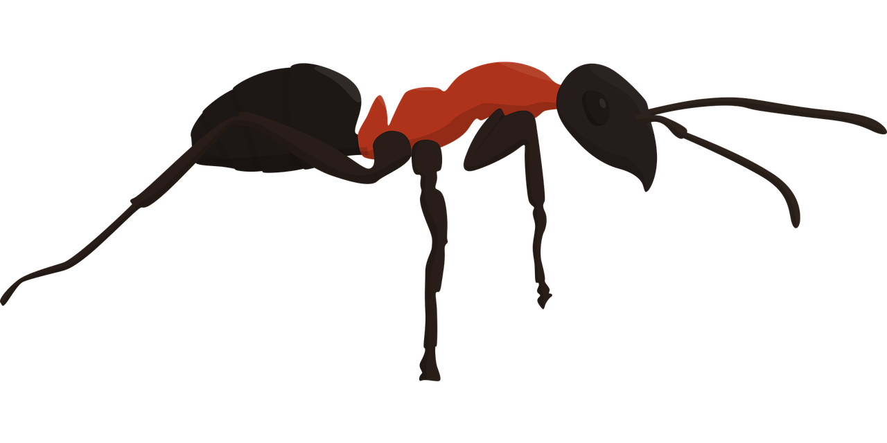 2025년 6월 테슬라 주가, 테슬라 주가, 일론머스크와 트럼프, 엔비디아, 테슬라 주가, 테슬라 가격, 테슬라 모델y, 테슬라 회장, 애플, 테슬라 사장, 테슬라 ceo, 니콜라 테슬라, 테슬라 전기차, 테슬라 대표, 리비안, 테슬라 모델3, 테슬라 주식, 테슬라 오너, 2025년 6월 테슬라 주가, 테슬라 주가, 일론머스크와 트럼프, 엔비디아, 테슬라 주가, 테슬라 가격, 테슬라 모델y, 테슬라 회장, 애플, 테슬라 사장, 테슬라 ceo, 니콜라 테슬라, 테슬라 전기차, 테슬라 대표, 리비안, 테슬라 모델3, 테슬라 주식, 테슬라 오너, 2025년 6월 테슬라 주가, 테슬라 주가, 일론머스크와 트럼프, 엔비디아, 테슬라 주가, 테슬라 가격, 테슬라 모델y, 테슬라 회장, 애플, 테슬라 사장, 테슬라 ceo, 니콜라 테슬라, 테슬라 전기차, 테슬라 대표, 리비안, 테슬라 모델3, 테슬라 주식, 테슬라 오너, 2025년 6월 테슬라 주가, 테슬라 주가, 일론머스크와 트럼프, 엔비디아, 테슬라 주가, 테슬라 가격, 테슬라 모델y, 테슬라 회장, 애플, 테슬라 사장, 테슬라 ceo, 니콜라 테슬라, 테슬라 전기차, 테슬라 대표, 리비안, 테슬라 모델3, 테슬라 주식, 테슬라 오너, 2025년 6월 테슬라 주가, 테슬라 주가, 일론머스크와 트럼프, 엔비디아, 테슬라 주가, 테슬라 가격, 테슬라 모델y, 테슬라 회장, 애플, 테슬라 사장, 테슬라 ceo, 니콜라 테슬라, 테슬라 전기차, 테슬라 대표, 리비안, 테슬라 모델3, 테슬라 주식, 테슬라 오너, 2025년 6월 테슬라 주가, 테슬라 주가, 일론머스크와 트럼프, 엔비디아, 테슬라 주가, 테슬라 가격, 테슬라 모델y, 테슬라 회장, 애플, 테슬라 사장, 테슬라 ceo, 니콜라 테슬라, 테슬라 전기차, 테슬라 대표, 리비안, 테슬라 모델3, 테슬라 주식, 테슬라 오너, 2025년 6월 테슬라 주가, 테슬라 주가, 일론머스크와 트럼프, 엔비디아, 테슬라 주가, 테슬라 가격, 테슬라 모델y, 테슬라 회장, 애플, 테슬라 사장, 테슬라 ceo, 니콜라 테슬라, 테슬라 전기차, 테슬라 대표, 리비안, 테슬라 모델3, 테슬라 주식, 테슬라 오너, 2025년 6월 테슬라 주가, 테슬라 주가, 일론머스크와 트럼프, 엔비디아, 테슬라 주가, 테슬라 가격, 테슬라 모델y, 테슬라 회장, 애플, 테슬라 사장, 테슬라 ceo, 니콜라 테슬라, 테슬라 전기차, 테슬라 대표, 리비안, 테슬라 모델3, 테슬라 주식, 테슬라 오너, 2025년 6월 테슬라 주가, 테슬라 주가, 일론머스크와 트럼프, 엔비디아, 테슬라 주가, 테슬라 가격, 테슬라 모델y, 테슬라 회장, 애플, 테슬라 사장, 테슬라 ceo, 니콜라 테슬라, 테슬라 전기차, 테슬라 대표, 리비안, 테슬라 모델3, 테슬라 주식, 테슬라 오너, 2025년 6월 테슬라 주가, 테슬라 주가, 일론머스크와 트럼프, 엔비디아, 테슬라 주가, 테슬라 가격, 테슬라 모델y, 테슬라 회장, 애플, 테슬라 사장, 테슬라 ceo, 니콜라 테슬라, 테슬라 전기차, 테슬라 대표, 리비안, 테슬라 모델3, 테슬라 주식, 테슬라 오너, 2025년 6월 테슬라 주가, 테슬라 주가, 일론머스크와 트럼프, 엔비디아, 테슬라 주가, 테슬라 가격, 테슬라 모델y, 테슬라 회장, 애플, 테슬라 사장, 테슬라 ceo, 니콜라 테슬라, 테슬라 전기차, 테슬라 대표, 리비안, 테슬라 모델3, 테슬라 주식, 테슬라 오너,