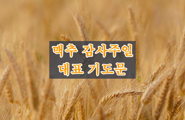 맥추감사주일대표기도문