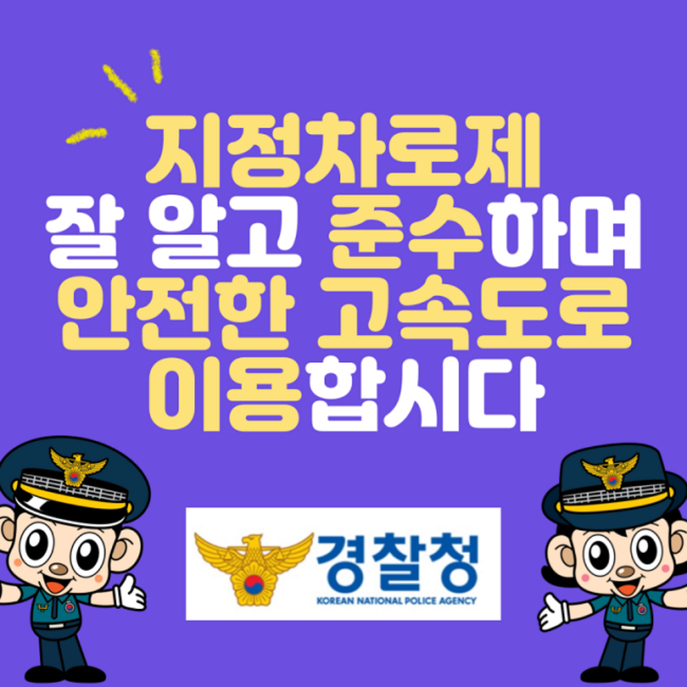 고속도로 1차선 단속
