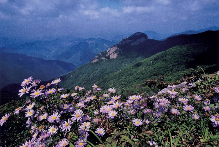 가지산 소개: 등산코스&#44; 최단코스&#44; 케이블카&#44; 온천및 맛집소개