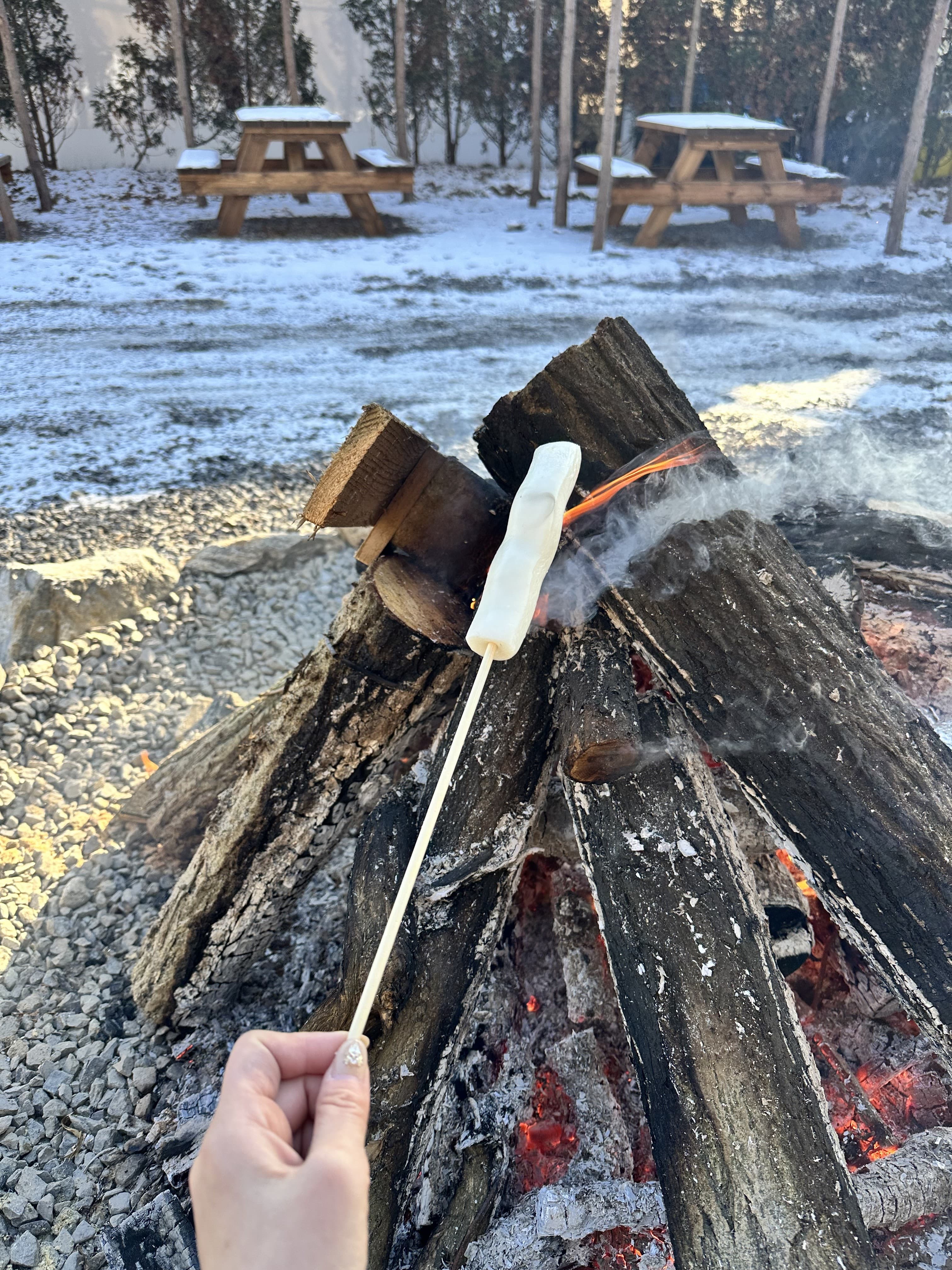 [충남 논산]사계절 내내 머물고 싶은 곳, 피나클랜드 수목원 이야기