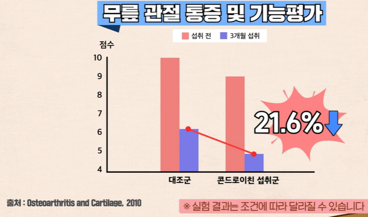 콘드로이친 효능
