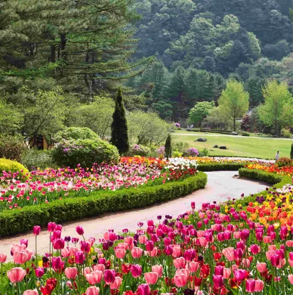 아침고요수목원-입장료-운영시간-관람안내