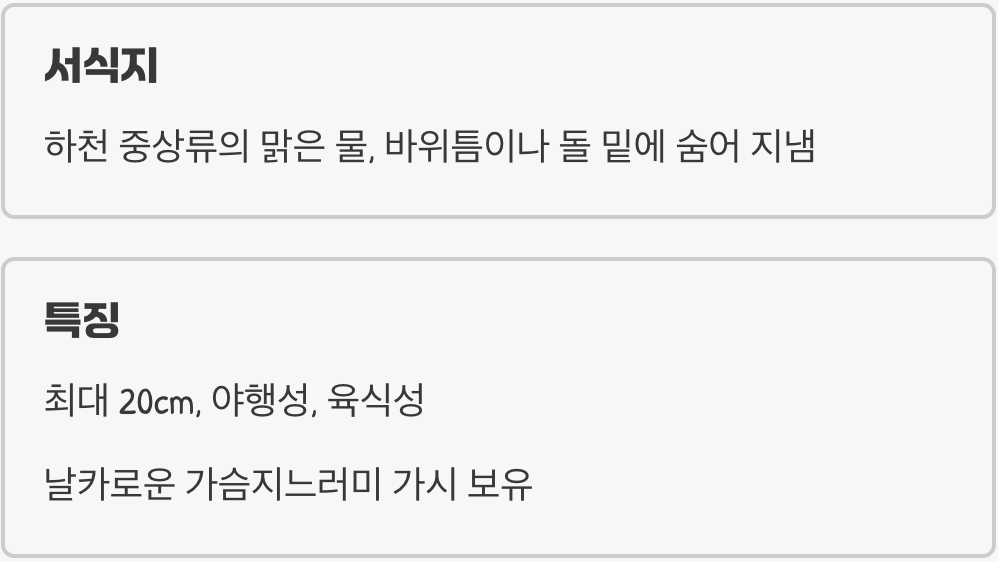 미유기, 어떤 물고기인가요?