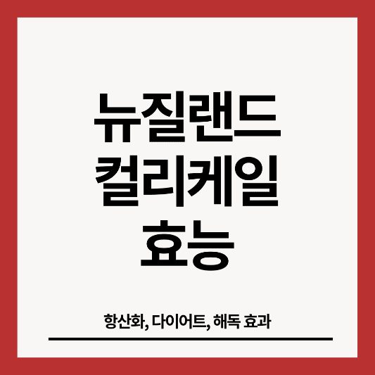 뉴질랜드-컬리케일-효능-썸네일