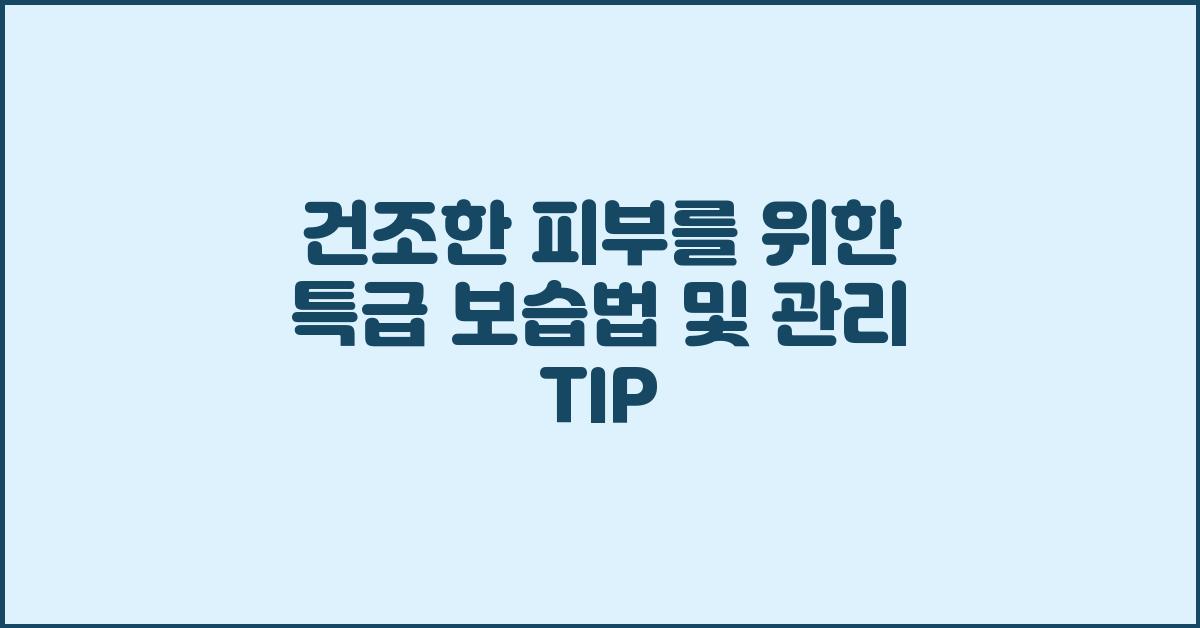건조한 피부를 위한 특급 보습법