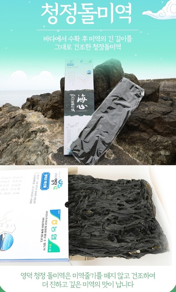 한국인의밥상-영덕-미역