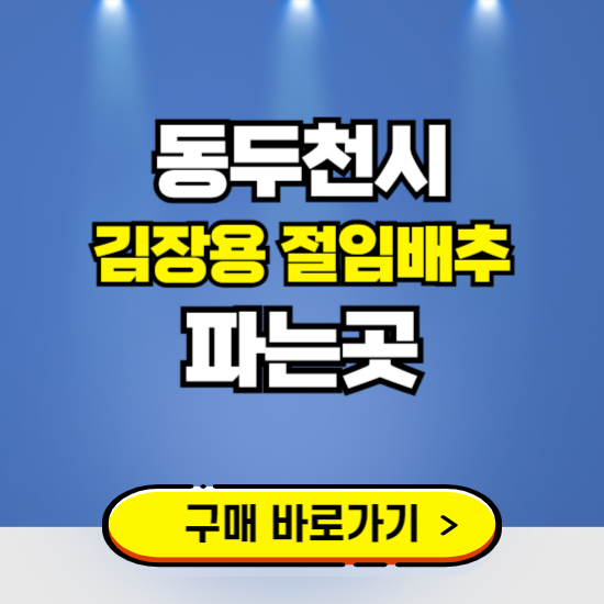 동두천시 절임배추 사전예약 구입하는곳 ❘ 김장배추 파는곳 가격보기