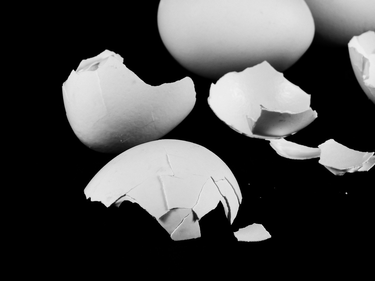 계란껍질의 이미지