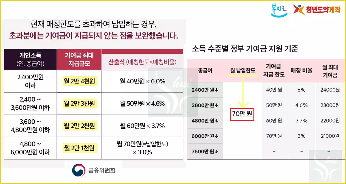 청년도약계좌 기여금