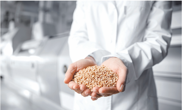 제분·도정기계조작원-하는일-업무환경-되는법-학과-전망